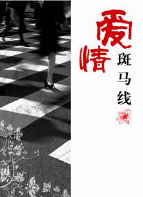 国产男同视频